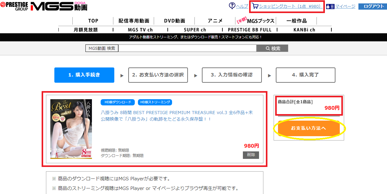MSG動画をビットキャッシュで購入手順6