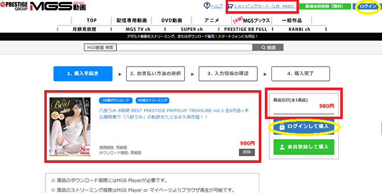 MSG動画をビットキャッシュで購入手順4